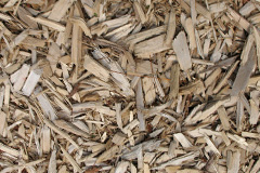 biomass boilers Scremerston